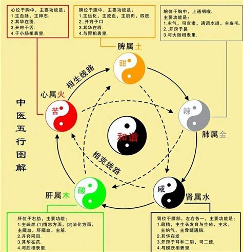 木和水的关系|郭极中：解析五行（木、火、土、金、水）相克的理论。